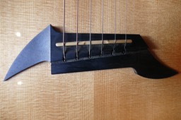 Breedlove American Gold Series C25. Steg