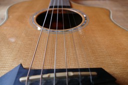 Breedlove American Gold Series C25. Decke