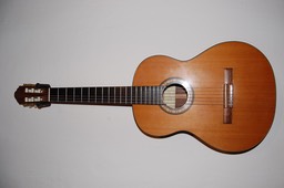 Meistergitarren im Kundenauftrag
