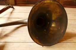 Phono-fiddle Schalltrichter