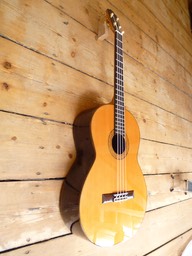 Bassgitarre "Modelo Zephyr"