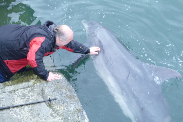 Dusty, the bottlenose Dolphin. Photo © UK