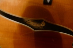 P1240871 - Gibson Super 400