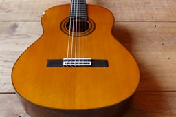 Yamaha G231-II